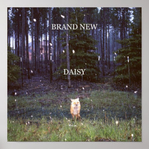 Brand New  Daisy Poster