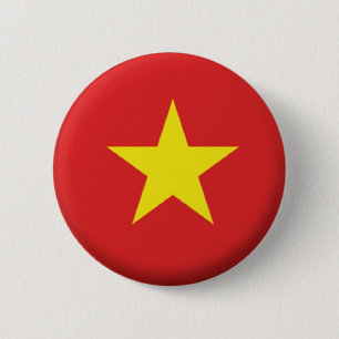 BRAND NEW!! - VIETNAM PIN BACK BADGE