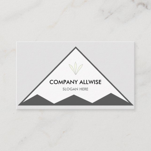 Branded Triangles on Silver Grey & White Business Card (Front)