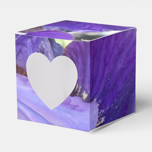 Brandeis Favour Box (Front Side)