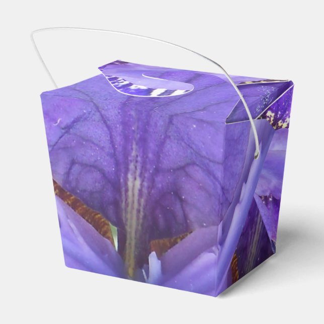Brandeis Favour Box (Back Side)