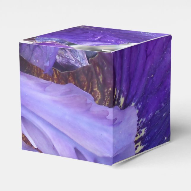 Brandeis Favour Box (Front Side)