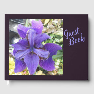Brandeis Guest Book