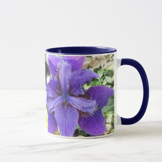 Brandeis Mug (Right)