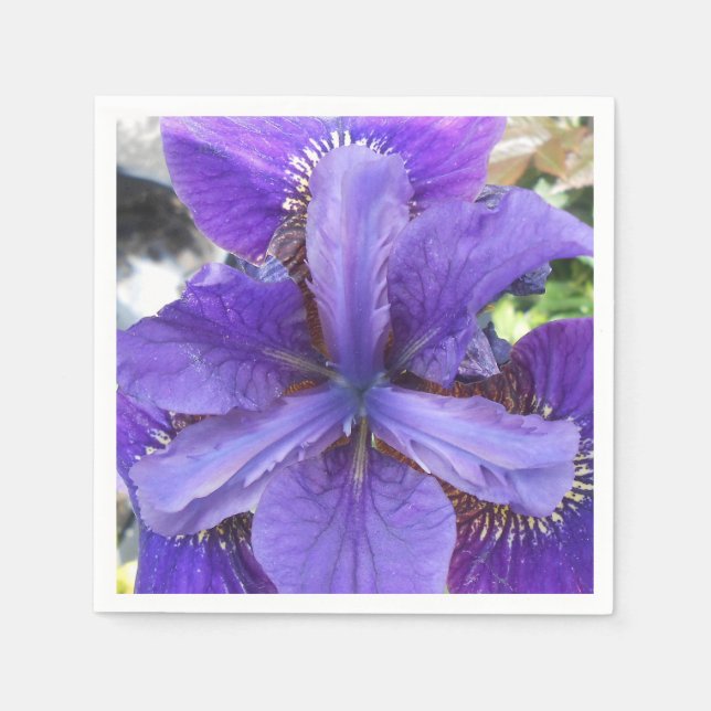 Brandeis Napkin (Front)