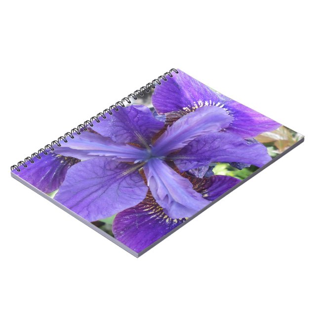 Brandeis Notebook (Left Side)