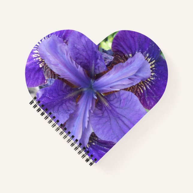 Brandeis Notebook (Front)