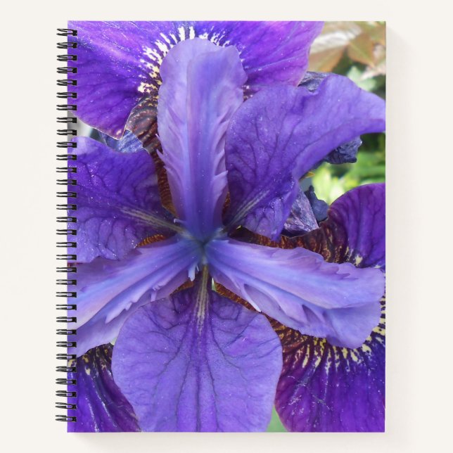 Brandeis Notebook (Front)