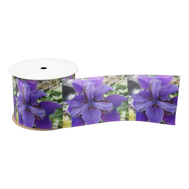 Brandeis Satin Ribbon (Spool)
