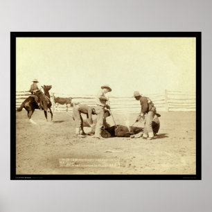 Branding Calves On Roundup SD 1888 Poster