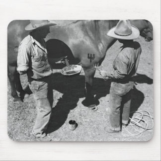 Branding horses with the pitchfork brand mouse pad