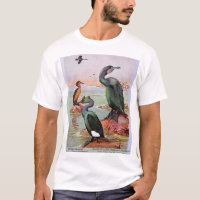 Brandt's Cormorants & Baird's Pelagic Cormorant