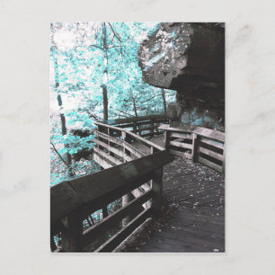 brandywine boardwalk postcard