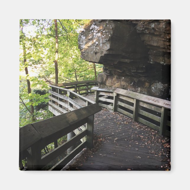 brandywine falls wooden path magnet (Front)