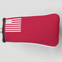 Brandywine flag