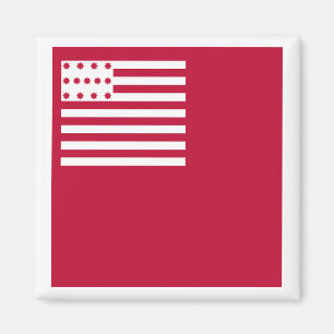 Brandywine flag magnet
