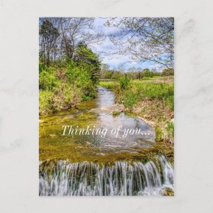 Branson Fall Creek Stream Thinking Of You Postcard