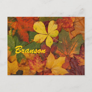 Branson Missouri Autumn Leaves Postcard