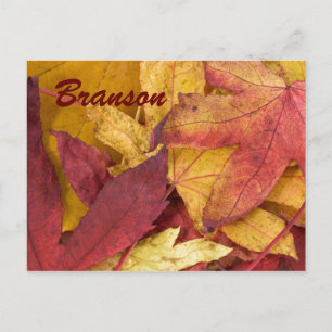 Branson Missouri Autumn Leaves Postcard
