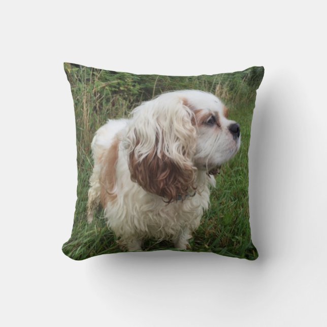 Branson Pillow (Front)