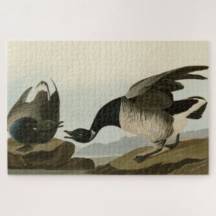 Brant Goose (Brant) from Audubon Birds of America Jigsaw Puzzle