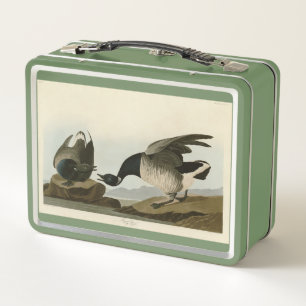 Brant Goose (Brant) from Audubon Birds of America Metal Lunch Box