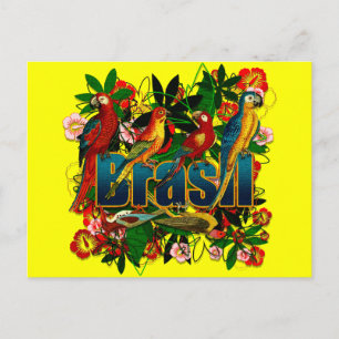 Brasil Brazil Tropical floral rainforest birds art Postcard