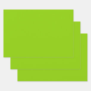 Brat Green Solid Colour Wrapping Paper Sheet