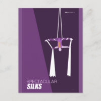 Brattleboro Circus Arts - Spectacular Silks