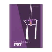 Brattleboro Circus Arts - Spectacular Silks