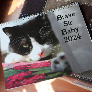 Brave Sir Baby Calendar