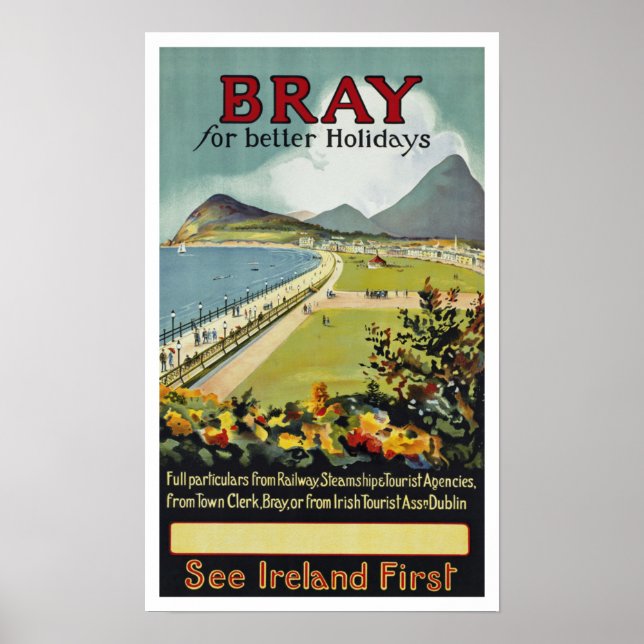 Bray For Better Holidays Poster (Front)
