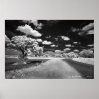 Bray Road Poster