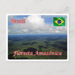 Brazil - Amazon Rainforest - Postcard