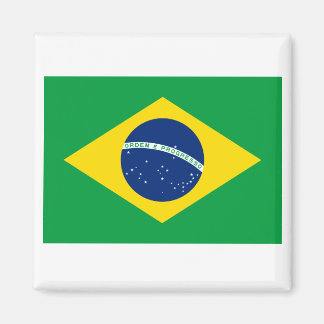 Brazil BR Magnet