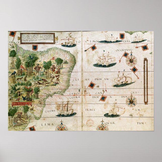 Brazil from the 'Miller Atlas' by Pedro Reinel Poster (Front)