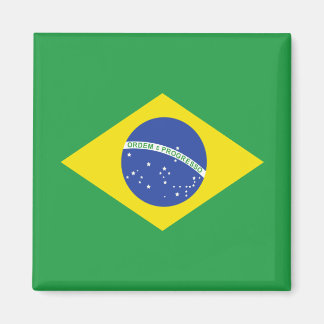 Brazil High quality Flag Magnet