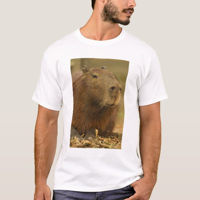 Brazil, Pantanal, Matto Grosso. Capybara T-Shirt (Front)