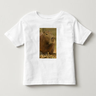 Brazil, Pantanal, Matto Grosso. Capybara Toddler T-Shirt