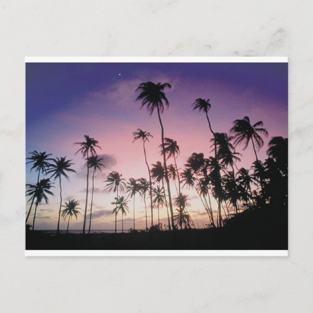 Brazil Postcard (Front)