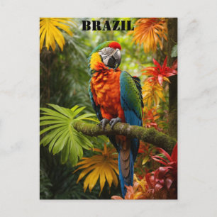 Brazil Rainforest Colourful Macaw Bird Travel Postcard
