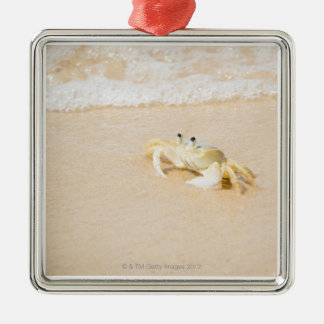 Brazil, Rio de Janeiro, Buzios, Crab on Metal Tree Decoration