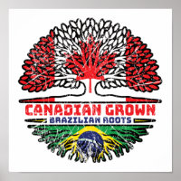 Brazilian Brazil Canadian Canada Tree Roots Flag