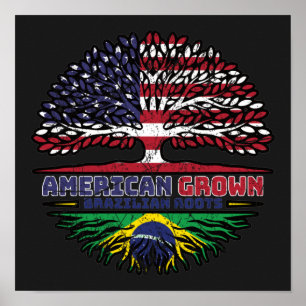 Brazilian Brazil US American United States Poster