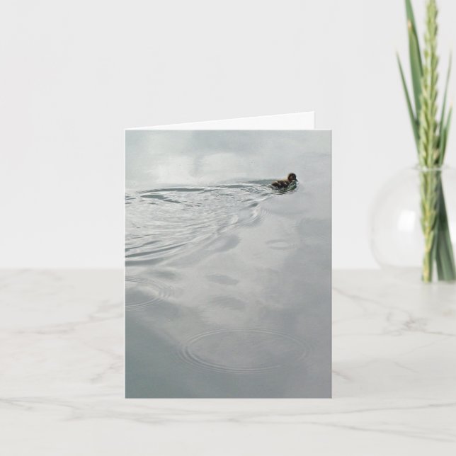 Brazilian card (Front)