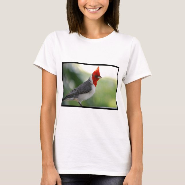 Brazilian Cardinal T-Shirt (Front)