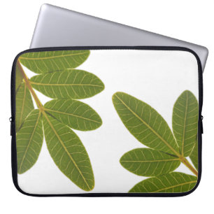 Brazilian holly Plant Leaf Pattern Laptop Sleeve