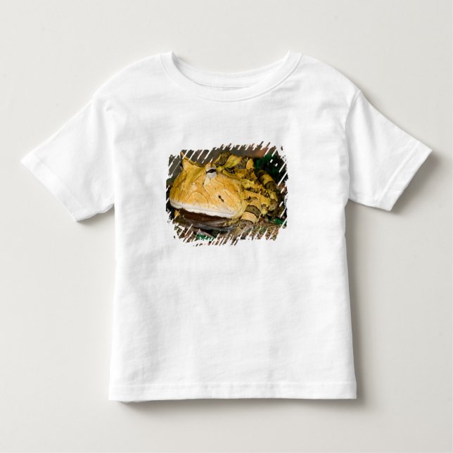 Brazilian Horn Frog, Ceratophrys cornuta, 3 Toddler T-Shirt (Front)