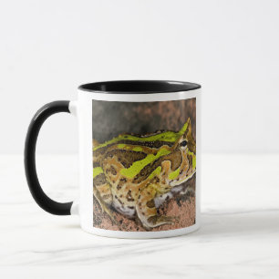 Brazilian Horn Frog, Ceratophrys cornuta, Native Mug
