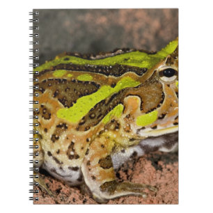 Brazilian Horn Frog, Ceratophrys cornuta, Native Spiral Notebook
